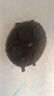 斯纳恩（Snaen）智能音乐拳击机墙靶儿童益智玩具男女孩6-8-12岁生日礼物 实拍图