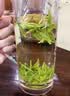 梅府茗家茶叶绿茶明前一级手作龙井袋装2.5g春茶自己喝 实拍图