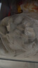 湾仔码头玉米蔬菜猪肉水饺1320g66只早餐速食半成品面点生鲜速冻饺子 实拍图