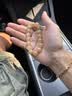 艾禾美（ARM&HAMMER）铁锤猫砂黑盒绿标28磅膨润土钠基矿石矿砂进口猫咪沙用品除臭低尘 实拍图