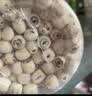 十月稻田 莲子 250g 半斤 湘潭产去芯磨皮白莲子 桂圆百合银耳羹煲汤食材  实拍图