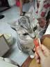 网易严选猫条猫湿粮成猫幼猫通用零食三文鱼+扇贝口味12g*100条 实拍图