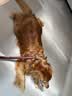 雪貂留香狗狗沐浴露 泰迪柴犬腊肠犬金毛红棕毛发专用香波655ml 实拍图