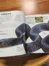 DK蛇百科 蛇类爱好者典藏百科全书 涵盖全球3500余种蛇类最新物种知识 高清实拍科普图鉴 青少年动物科普百科 儿童科普读物中国儿童百科全书中小学生推荐课外阅读课外读物科普启蒙 开学季 实拍图