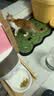 尾巴生活猪猪礼盒彩虹挞挞主食餐盒40g*27杯猫罐头 成猫幼猫主食罐 猫湿粮 实拍图