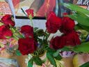 京东鲜花玫瑰花【红色随机】20枝新鲜采摘山东基地日常礼品花暖心源头直发 实拍图