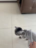 HELLOJOY宠物猫咪狗狗排梳猫梳子宠物去浮毛开结钢梳布偶长毛猫专用猫毛梳 实拍图