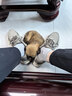 皇家狗粮 幼犬狗粮 宠物 小型犬 MIJ31 全价犬粮 2-10月 2KG 实拍图