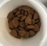MAG狗狗鱼油卵磷脂 犬用软磷脂美毛爆毛粉泰迪金毛狗比熊450g/罐 实拍图