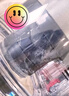 戴森（DYSON） V8 Cyclone 无绳吸尘器 手持无线吸尘器 除螨 宠物 家庭适用 实拍图