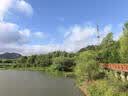 爱贝迪拉宝宝地板袜子儿童地板鞋夏季网眼防滑隔凉婴儿室内男女童学步袜套 【可调节绳 大网眼炫彩】星蓝 3-5岁 (L) 建议脚长14.5-15.5cm 实拍图