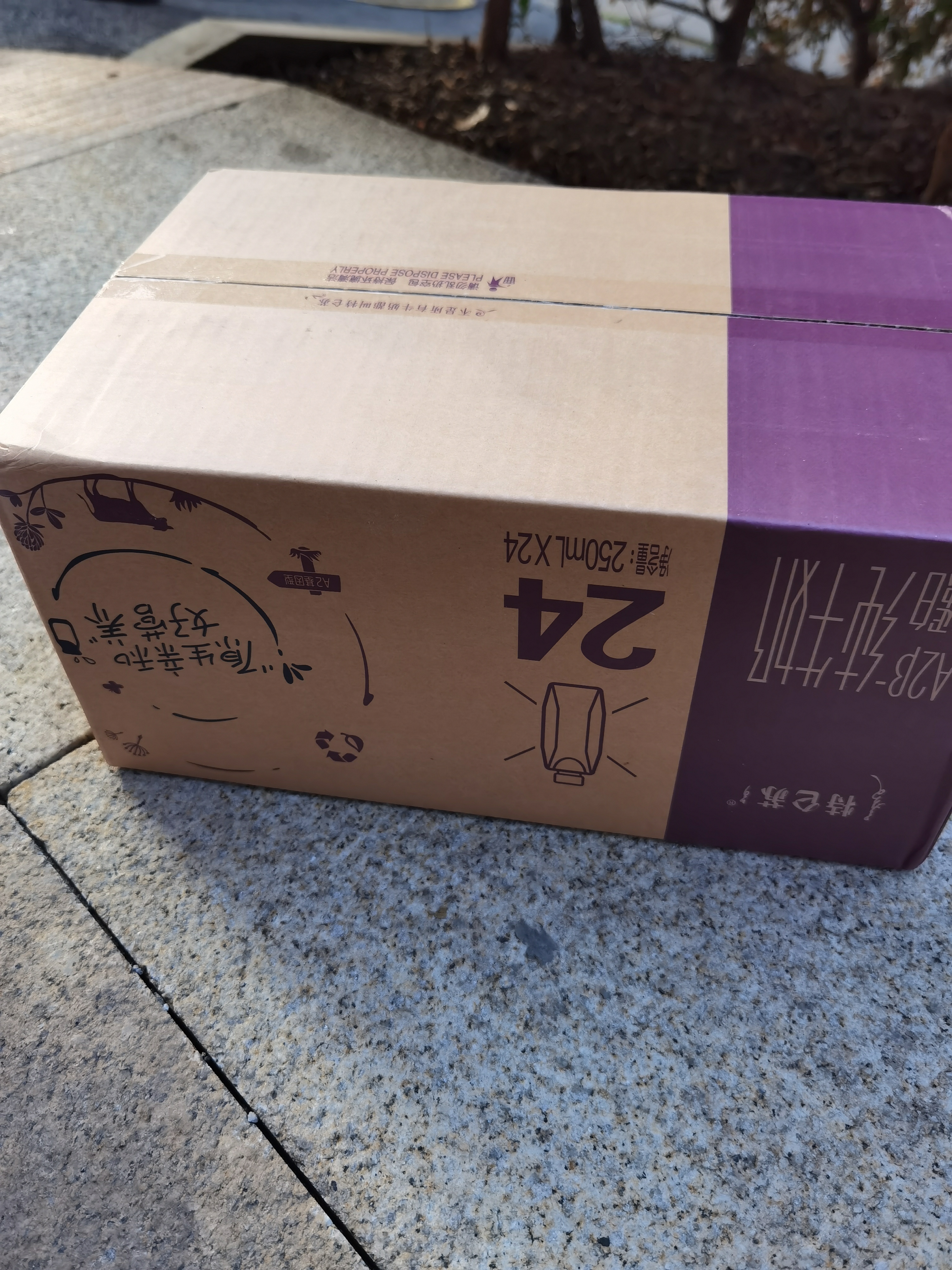 蒙牛【新鲜日期】特仑苏A2β-酪蛋白纯牛奶250ml*24盒 3.8g乳蛋白 实拍图