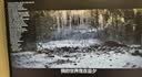 泰坦军团24.5英寸双侧入光 2K 420Hz HDR600 FastIPS硬件低蓝光 DyDs0.3ms 旋转升降电竞显示器 仓刀X256T+ 实拍图