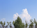 仙鹤（XIANHE）红外线理疗仪烤灯颈椎腰椎崴脚康复医院同款调温升降可移动27-1 实拍图