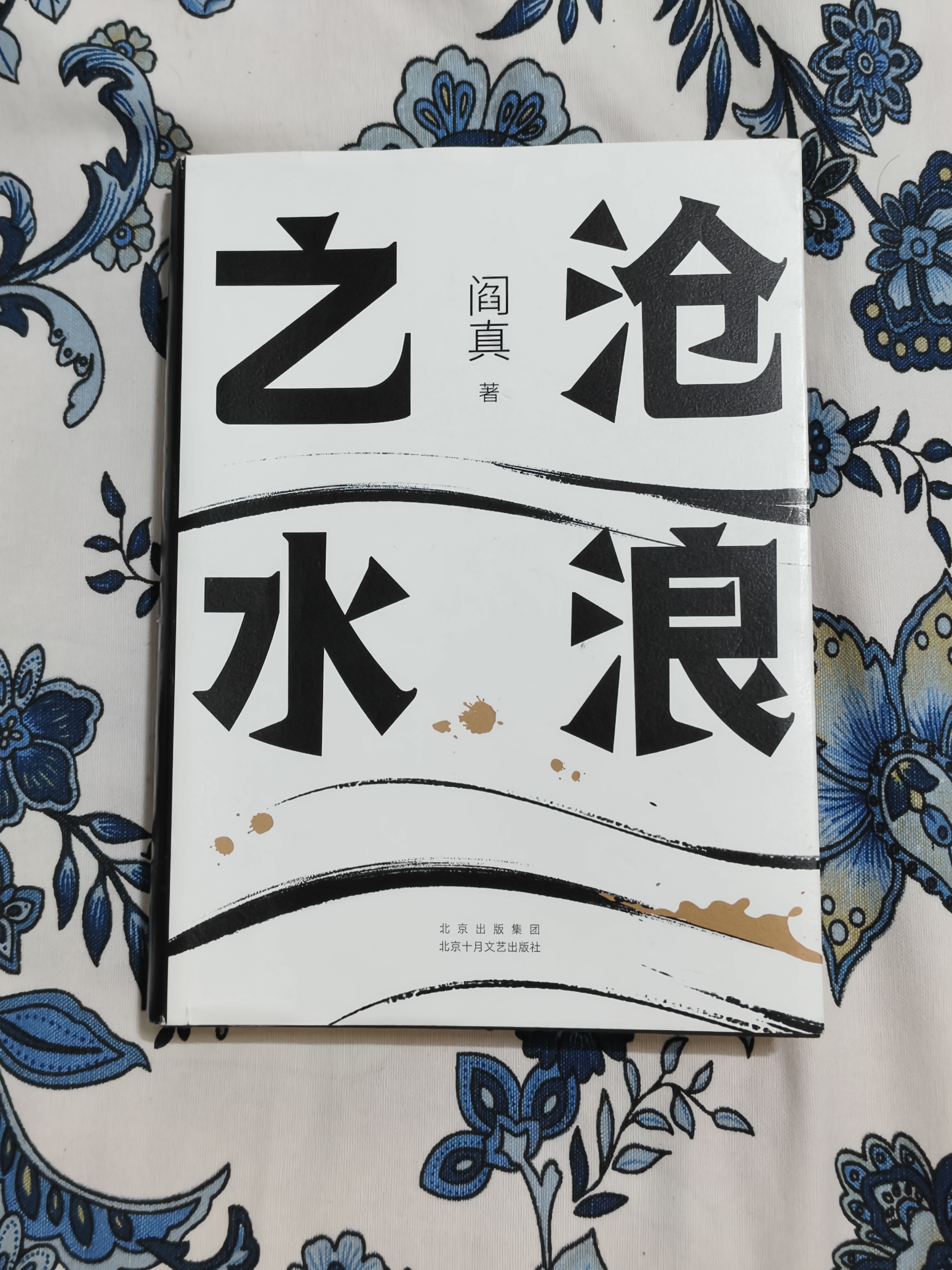 阎真：沧浪之水 豆瓣8.5分 入围茅盾文学奖 赠书签 胡军 于和伟主演高分电视剧岁月原著 小说 实拍图
