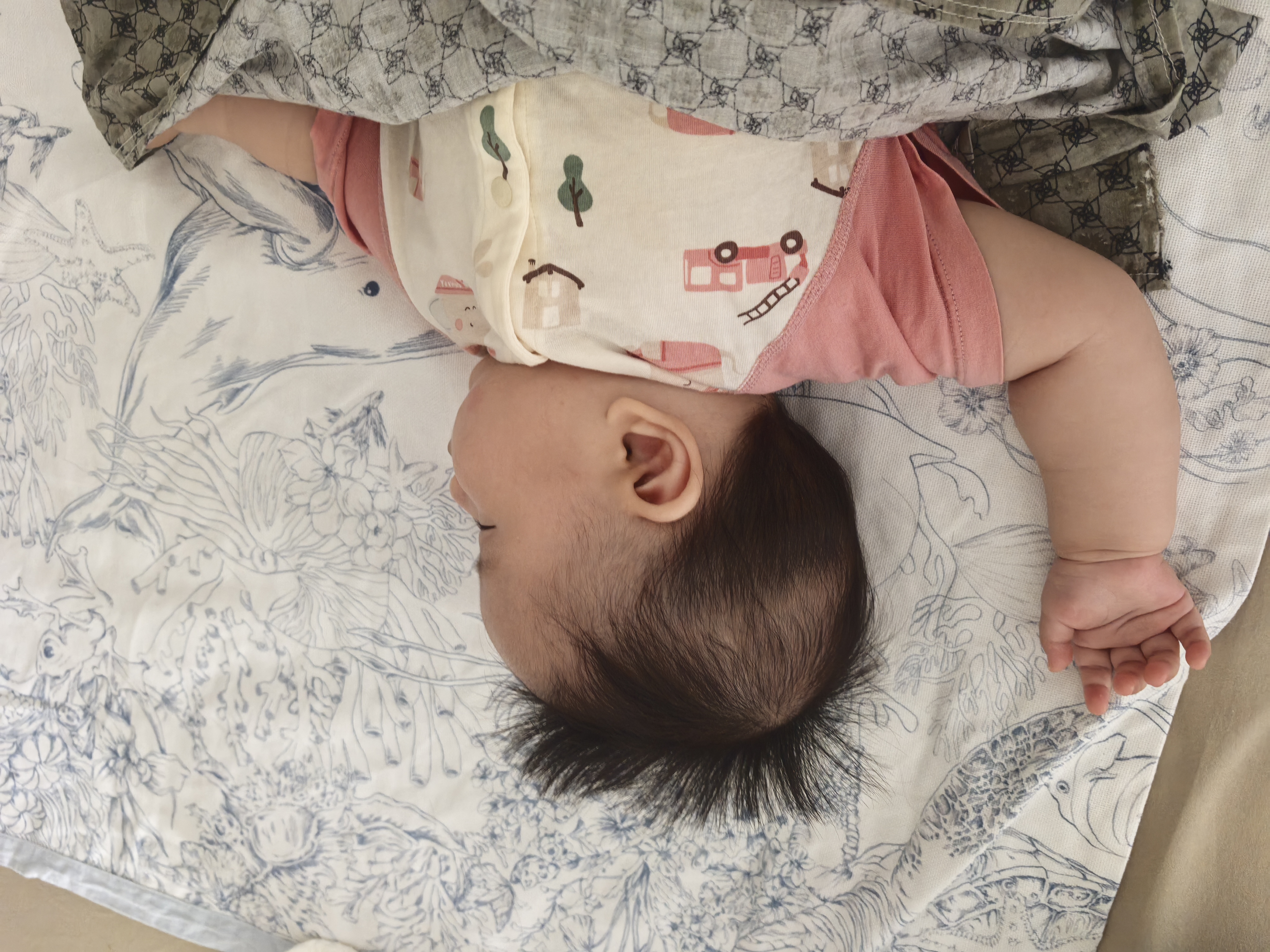 英氏（YEEHOO）【2件装】婴儿哈衣新生儿连体衣包屁衣夏季爬服纯棉宝宝短袖薄款 大象襟哈【2件装】 90cm (1-2岁-建议78-90cm 9.5-13.0kg) 实拍图