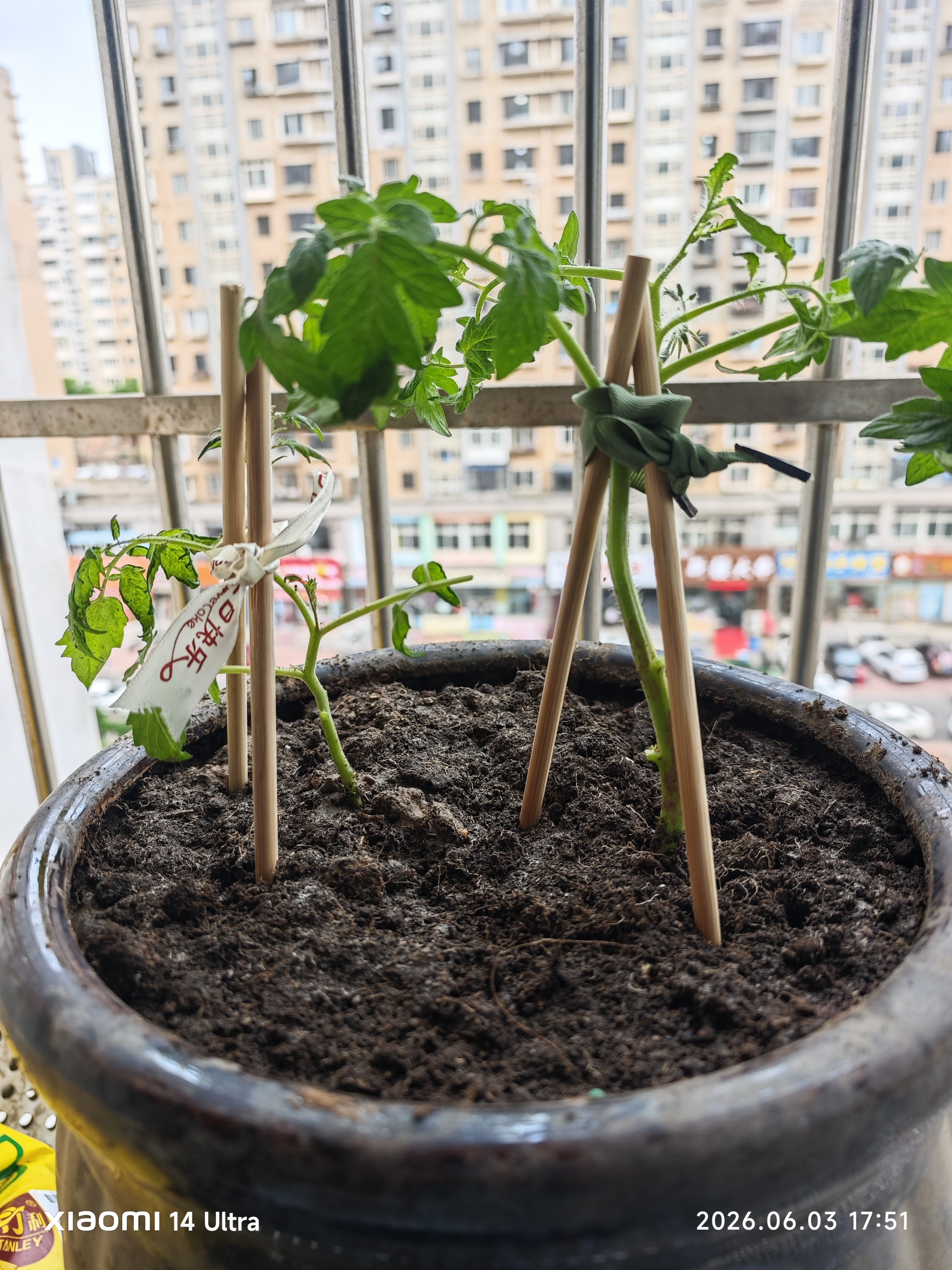 史丹利有机营养土10L*2 园艺有机土通用型种花种菜养花专用土壤种植土 实拍图