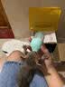 欢宠网幼猫奶瓶猫幼犬小猫喂奶器猫猫狗狗宠物奶嘴喂水喂药猫咪兔子小狗 实拍图