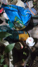 史丹利3L包装营养土园艺有机土通用型种花种菜养花专用泥炭土壤种植土 实拍图