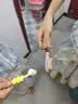 舒客宝贝按压式儿童牙膏2-6-12岁含氟防蛀克服龋齿150g大容量哆啦A梦牙膏 草莓酸奶香型150g 实拍图