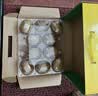 佳沛（zespri）新西兰阳光金奇异果10粒巨大果单果146-175g 猕猴桃水果礼盒 实拍图