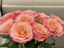 京东鲜花【AB级】朱小姐（Miss Pigggy）渐变色玫瑰10枝（60cm+）源头直发 实拍图