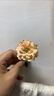 玫瑰花苗老桩绿植物盆栽月季蔷薇老根室内外阳台庭院特大花卉四季 56粉龙（老桩爬藤苗四季开花） 实拍图