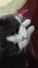 博莱得利滴眼液猫咪猫鼻支眼药水宠物猫专用打喷嚏流眼泪疱疹病毒狗狗洗眼液硼酸滴眼液 实拍图