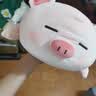 名创优品（MINISO）小猪B-BO弹力超柔趴姿公仔毛绒玩偶儿童玩具抱枕靠枕生日礼物女 实拍图