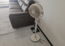 美的（Midea）【幸运草安睡2ProMax】家用空气循环扇直流变频静音小型电风扇净化新款落地扇 智能语音遥控3D摇头 实拍图