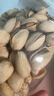 三只松鼠0添加美国特大开心果500g每日坚果炒货无漂白休闲零食团购送礼 实拍图