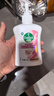 滴露（Dettol）洗手液滋润250g 儿童洗手液抑菌消毒宝宝 水润补充装试用 实拍图