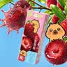 蒙牛真果粒牛奶饮品东魁杨梅味含乳饮料250g×12盒 卡皮巴拉定制装 实拍图