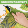 触摸书幼儿早教宝宝绘本0-3岁小兔比利触摸书 蒙氏婴幼儿童启蒙洞洞翻翻书亮丽精美仿真绘本故事书省钱卡 实拍图
