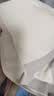 俞兆林（YUZHAOLIN）2件装女童内衣发育期9-12岁夏季薄款小背心大儿童小学生少女文胸 实拍图