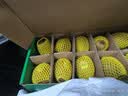 佳沛（zespri）绿奇异果10个装 宝宝果单果约80-89g 水果猕猴桃包邮 实拍图