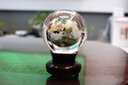 中一（zhongyi） 中一光学 85mm F2.0全画幅人像手动对焦镜头EF\AI\FE\FX 索尼E口-银色 标配 实拍图