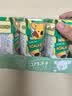 乐天LOTTE小熊饼干 泰国进口儿童饼干休闲零食巧克力味37克*6盒 实拍图