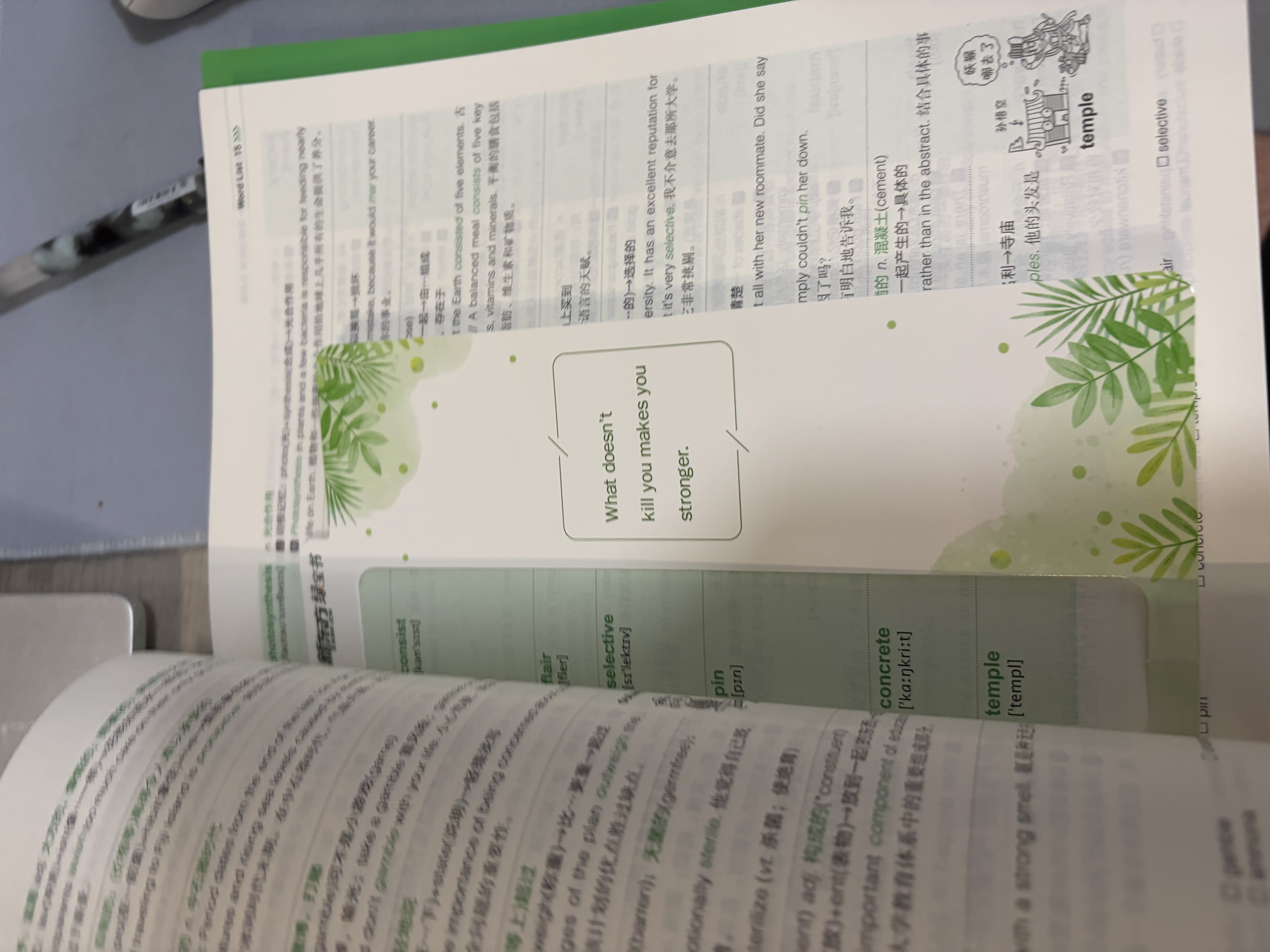 新东方 托福词汇词根+联想记忆法 乱序版 TOEFL单词书 俞敏洪词汇书新东方绿宝书 实拍图