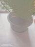 宜兴特大种树紫砂花盆绿萝盆景多肉种菜兰花盆圆口透气超大陶瓷盆 399特大号 实拍图