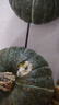 京鲜生 安徽精选黑金贝贝南瓜 净4.5斤 爆粉更粉更糯 蔬菜辅食 源头直发 实拍图