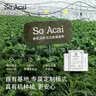 SO ACAI冻干纯羽衣甘蓝粉健身膳食纤维蔬菜粉青汁早餐代餐粉60g 实拍图