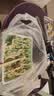慧多多洗车用水枪自动吸水手自一体大容量冲洗机洗地机水桶车载增压小型 实拍图