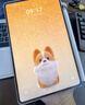 HUAWEI MatePad Mini 悦读版 支持教育优惠 华为平板电脑OLED屏SIM卡版可通话移动办公 12+256GB 雪域白 实拍图
