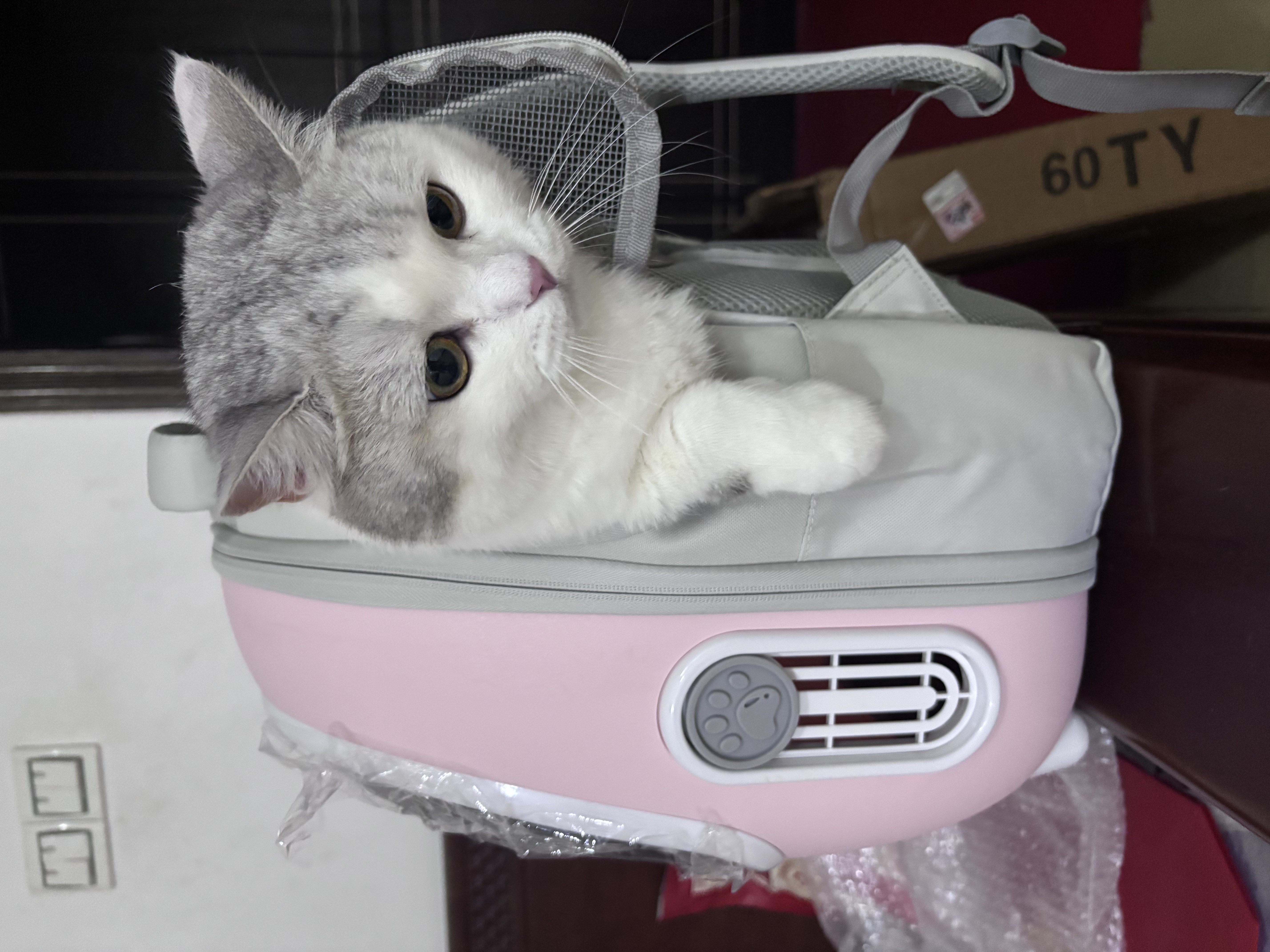 乐优派猫包外出便携太空舱猫背包双肩包宠物包大号透气猫咪用品 粉色 实拍图