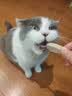 地狱厨房（Hell's Kitchen）宠物猫零食鸭胸肉营养零食特选厚切鸭大胸冻干量贩装 300g*1包 实拍图