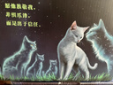 猫武士八部曲文创限定礼盒  中国版首次官方周边发布  猫武士中国版首次官方周边发布 内含八部曲图书6册 立牌 斗图贴纸 族群日历 巴掌书 学徒手册 书签  新年开出隐藏款 暑期阅读 课外推荐 实拍图
