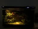 尼特利（NETLEA）滤材细菌屋鱼缸专用净水过滤材料水族养鱼纳米硝化细菌纤维环 微生物纤维环 M号（1L/包） 实拍图