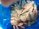 禧美海产海藻头北极甜虾净重1kg/盒 黑头虾 MSC认证 90-120+规格 海鲜 实拍图