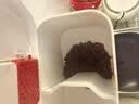新宠之康宠物盐酸多西环素片猫咪感冒咳嗽狗狗打喷嚏流鼻涕抗菌消炎药 实拍图
